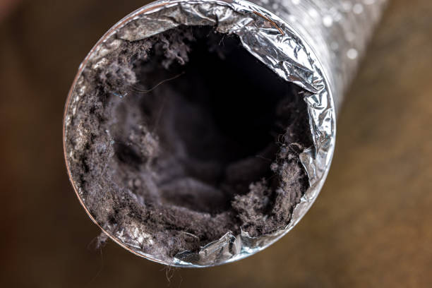 Best Emergency Air Duct Cleaning Services in West Springfield, VA