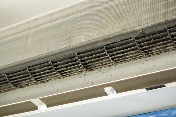 Best Duct Repair and Sealing Services in West Springfield, VA